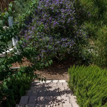 Aimilios Villa- Private Pool And Stunning View! Βίλα *